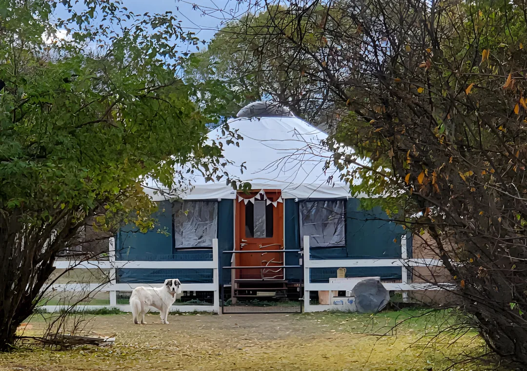 Yurts for farm and tiny home installations in Western Montana